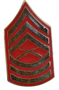 PIN SOMBRERO SARGENTO MAESTRO E-8 - Imagen 1 de 1