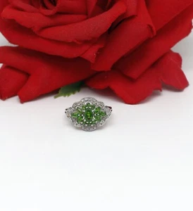 Sterling Silver Chuck Clemency Chrome Diopside Ring Size 7 4.65g CAT RESCUE - Picture 1 of 2