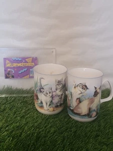 2x Vintage Rose of England Cats Fine Bone China Mug Made in England - Picture 1 of 24