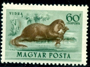 1953 Fauna,Wild animals,Otter Lutra lutra,Hungary,1289,MNH - Picture 1 of 1