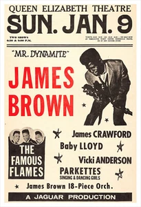 James Brown concert poster print - Picture 1 of 1