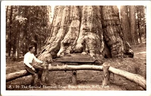 RPPC The General Sherman Tree Base, Sequoia National Park cartolina d'epoca JY9 - Foto 1 di 2