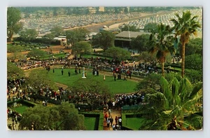 Postcard Horse Racing Santa Anita Park Arcadia California 1970s Unposted Chrome - Picture 1 of 2