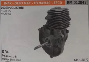 4161570 KOMPLETTER MOTOR FREISCHNEIDER EMAK OLEOMAC DYNAMAC EFCO STARK 25 26 - Bild 1 von 1