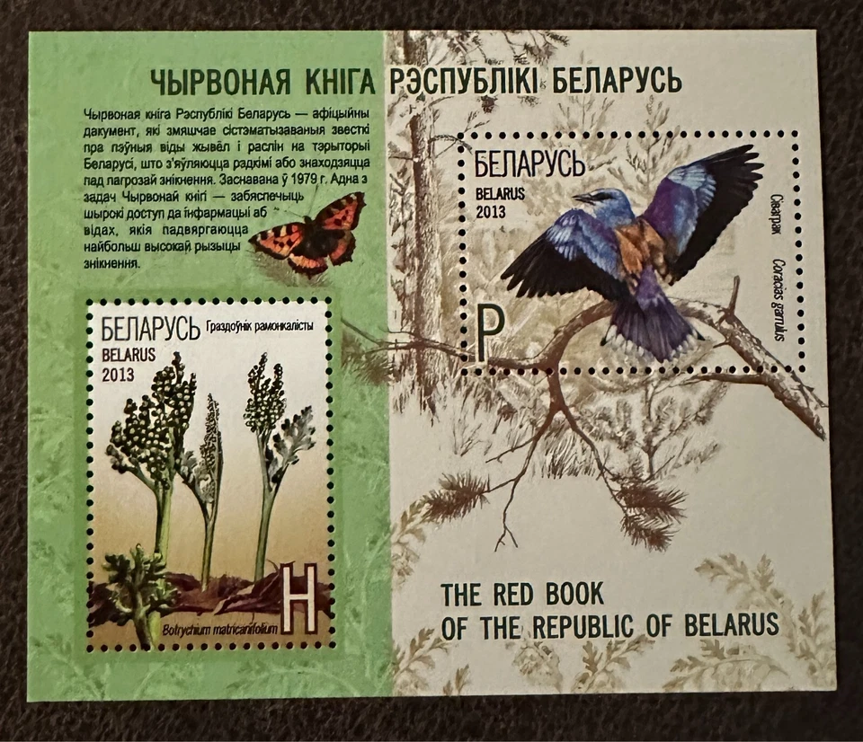 Bielorrusia - Libro Rojo de Bielorrusia 2013 - Flora y Fauna Foto 1 de 1