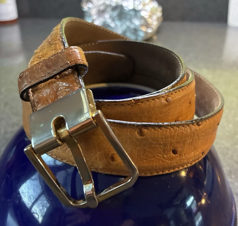 "Cinturón de vestir de avestruz real pluma completa para cintura de 34""" Foto 1 de 4