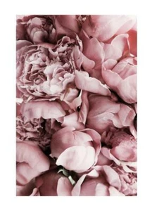 Blumendrucke Moderner Druck Natur Wandeinrichtung Druck Wall Art Fleurs Rosa - Bild 1 von 17