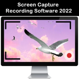 PC Computer Screen capture recorder video Software Stream live or record Win Mac - Picture 1 of 6