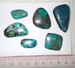 Cabujón de piedra turquesa forma libre plana 118 quilates 6 piezas 23,6 gramos - Imagen 1 de 8