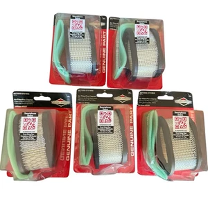 Briggs & Stratton 497725S 5 Pack Of Air Filters And Pre-filter Genuine OEM NEW - Picture 1 of 4