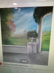 Fondo de fondo fotográfico 100 % pintado a mano de muselina 10'x20' 45-455 - Imagen 1 de 1