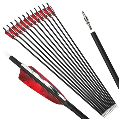 28" 30" 31" Carbon Arrows SP500 Natural Feathers Recurve Compound Bow Hunting - Image 1 of 4