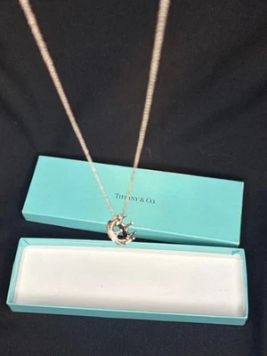 Tiffany & Co Sterling Silver 925 3D Crown Necklace and Pendant - image 1 of 4