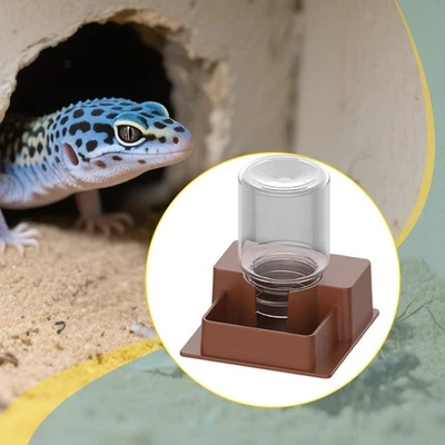 Alimentador automático de água réptil ferramenta potável prato de água para tartaruga - Imagem 1 de 2