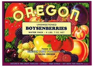 ORIGINAL BOYSENBERRIES CRATE LABEL FRUIT BOX OREGON VINTAGE SALEM KITCHEN DECOR - Picture 1 of 1