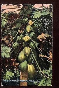 c1915 So.Seas Curio Papaia Fruit Honolulu Hawaii paisaje postal - Imagen 1 de 1