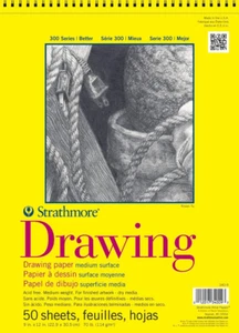 Strathmore 300 Series Drawing Paper Pad, Top Wire Bound, 9x12 inches, 50 Sheets - Picture 1 of 6