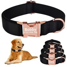 black dog dog leads