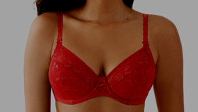 Wacoal Equestrian Red Lifted in Luxury Underwire Bra 855433 SZ 38 DD Nwt $72