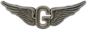 LUFTWAFFE ARMEE TÜRKANONENFLÜGEL GROSS 2,75" ZINNABZEICHEN PIN - Bild 1 von 1