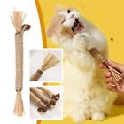 Catnip Cat Sticks Natural Matatabi Silvervine Sticks Cleaning Toy Chew C0i9