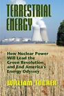 Terrestrial Energy How Nuclear Energy Will Lead The Green Revolution And End