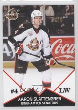 2008-09 Just Sports Photography Binghamton Senators Aaron Slattengren