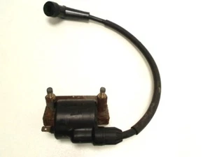 Bobina de encendido para KAWASAKI GPZ 305 1984 usada 183097 - Imagen 1 de 6