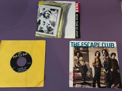 INXS-Never Tear Us Apart-Atlantic 7-89038-VTG 1987 Picture Sleeve 45 RECORD LOT - Image 1 of 4