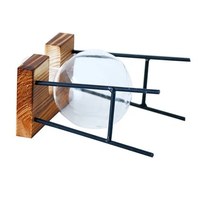  Blumenzwiebelpflanzer Übertopf Glas Hydroponischer Blumenpot Terrariumbehälter - Bild 1 von 4