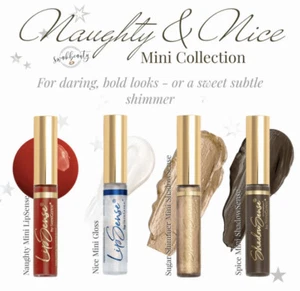 New Senegence Naughty & Nice Mini Collection - Lipsense, Lip Gloss, 2 Eyeshadows - Picture 1 of 4