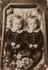 Twins Photo Post Mortem Print Flowers Victorian Children 4 by 6 Photograph - Picture 1 of 1