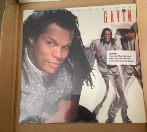 Gavin Christopher Gavin Vinyl LP Record Album - Sealed 1988 - Foto 1 di 2