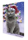 British Shorthair Cat Canvas Wall Art Christmas Digital Painting For Decoration