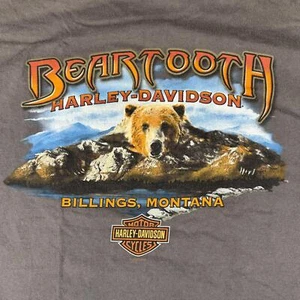 2010 Harley-Davidson Beartooth Montana Bear Shirt Gray XL USA Made Biker Tee - Picture 1 of 7
