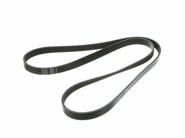 Cinturón multi costilla para GMC Jimmy 1998-2002 1999 2000 2001 Q182GX Foto 1 de 1