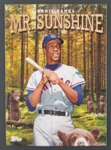 Ernie Banks 2020 Topps Baseball Card #310 (NM) - Picture 1 of 2
