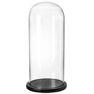 13.8 Inch Tall Glass Dome with Base, Clear Glass Empty Display Cloche, Decora... - Bild 1 von 8