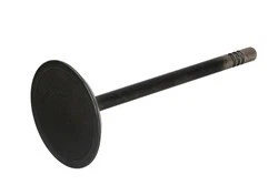 DNJ ENGINE COMPONENTS IV1100 Einlassventil für JEEP GRAND CHEROKEE III (WH, WK) - Bild 1 von 4