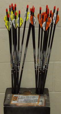 Nuevas flechas Easton 300 columna vertebral carbono secuelas - corte/inserto Av, 1 docena (12 flechas) Foto 1 de 4