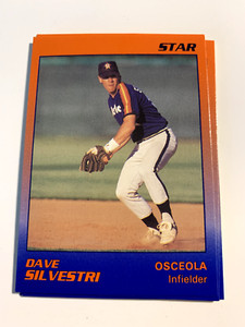 DAVE SILVESTRI 1989 Star Osceola Astros FREE SHIP