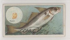 1924 ITC of Canada Fish & Bait Tobacco C11 The Haddock #42 z6d
