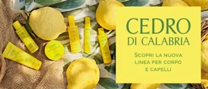 L'Erbolario Cedro di Calabria linea profumata - Calabrian Cedar Novità!!! - Imagen 1 de 8