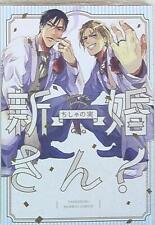 Japanese Manga Takeshobo - Bamboo Comics / Qpa Collection Chishana fruit New...