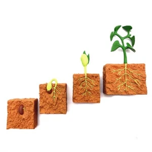 Kids Plant Growth Model Educational Montessori Toy(78) - Picture 1 of 5