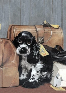 COCKER SPANIEL IN LEFT LUGGAGE CHARMING COMIC DOG GREETINGS NOTE CARD - Bild 1 von 1