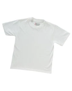 Hanes Boys Toddler White Crew Neck T-shirts - Picture 1 of 3
