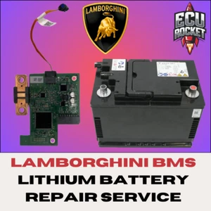 Servicio de reparación de baterías de iones de litio Lamborghini BMS LiFePo4 12v plug & play - Imagen 1 de 6