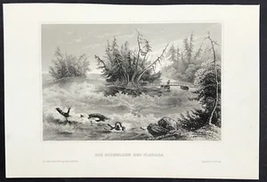 The Rapids above Niagara Falls original antique print Meyer's Universum 1835 - Picture 1 of 4