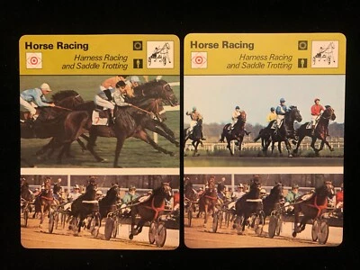 Sportscaster Carreras de Caballos #20-04 ARNÉS CARRERAS/TROTE EN SILLA DE MONTAR (2) Variaciones Foto 1 de 2